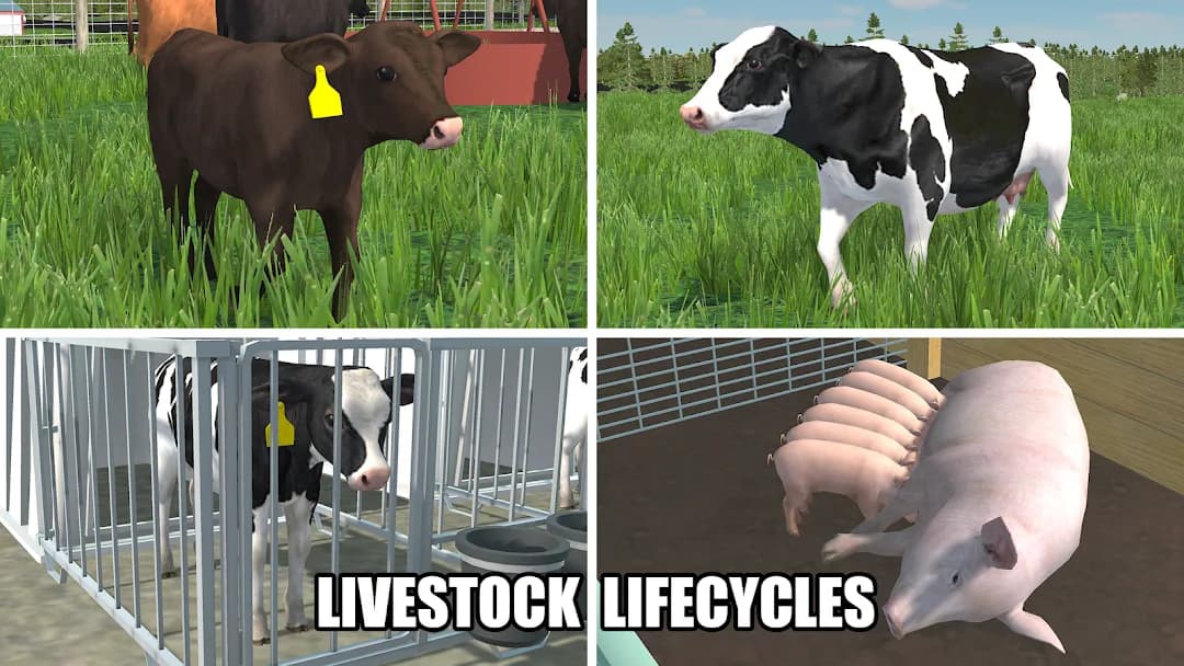 American Farming مهكر — لقطة شاشة 3
