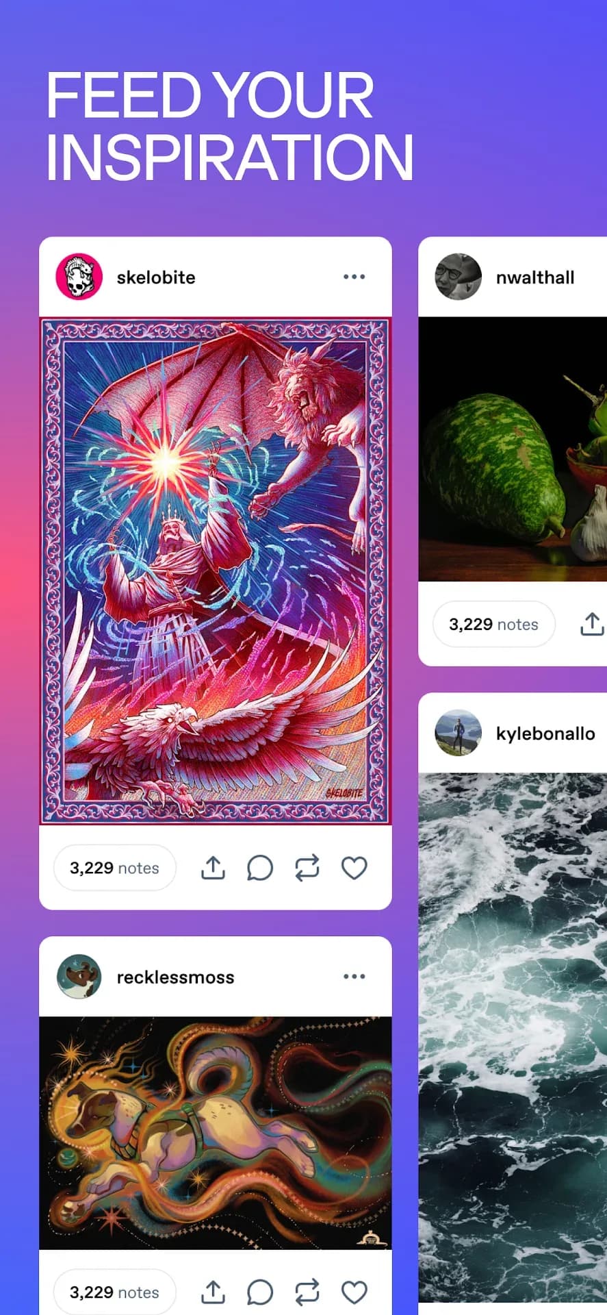 Tumblr — Captura de pantalla 4