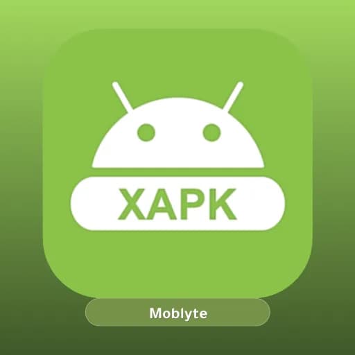XAPK Installer